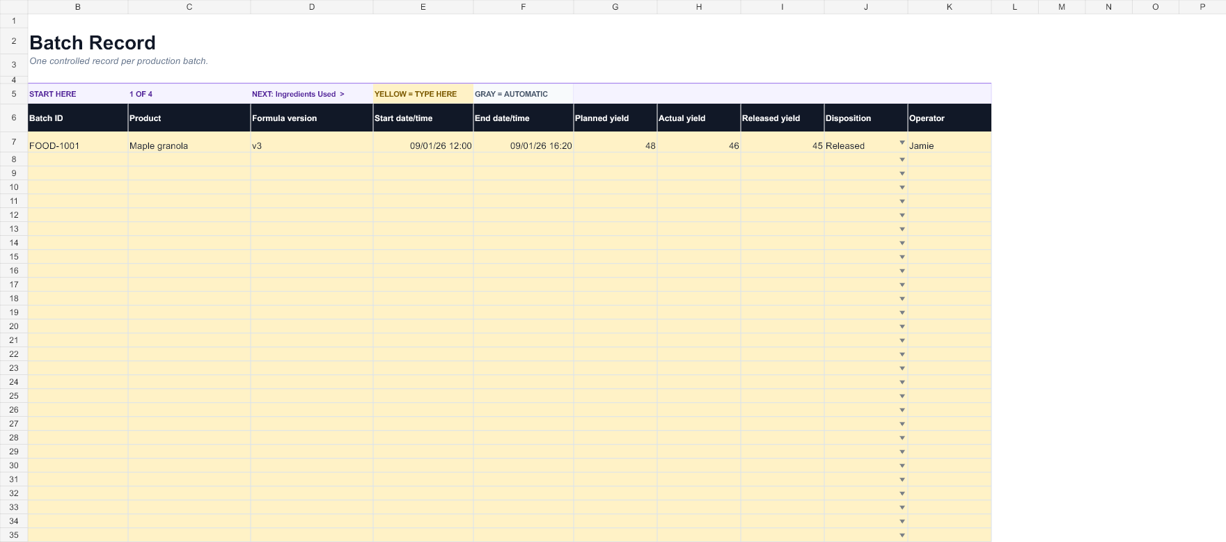 Preview of the Food Batch Production Record workbook